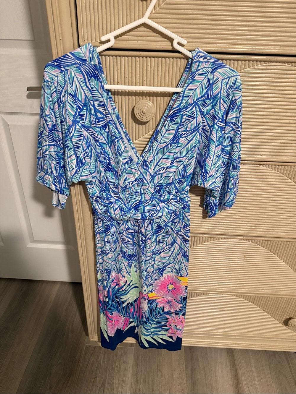 Lilly Pulitzer Blue Leaf-Print Dress with Pink Floral Border